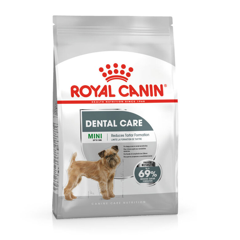 Royal Canin Dental Care Mini  pienso para perros, , large image number null